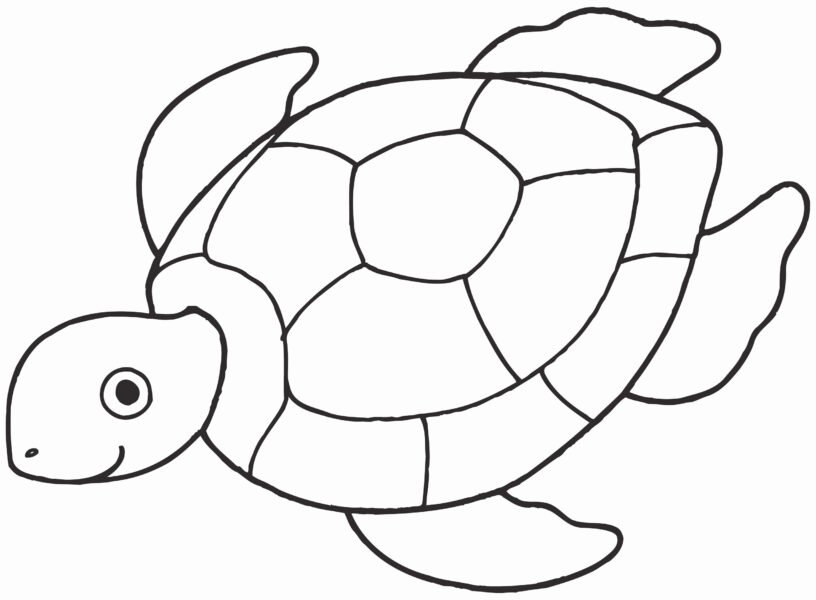 pictures of turtles to color Awesome Free Coloring Pages Ninja Turtles Photograph