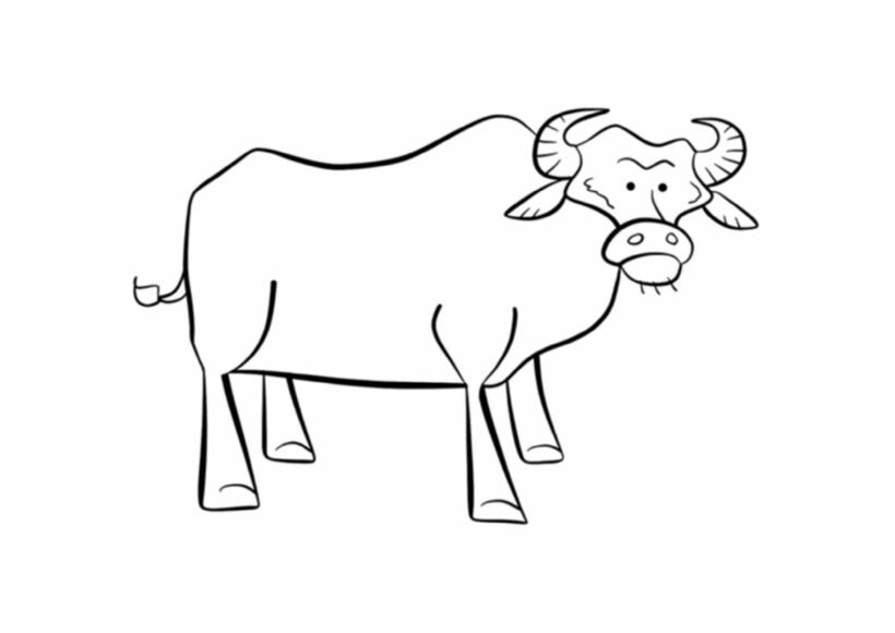Hình vẽ đen trắng con trâu cho bé tô màu (2)