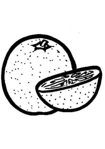 Hình vẽ đen trắng quả bưởi cho bé tập tô (3)