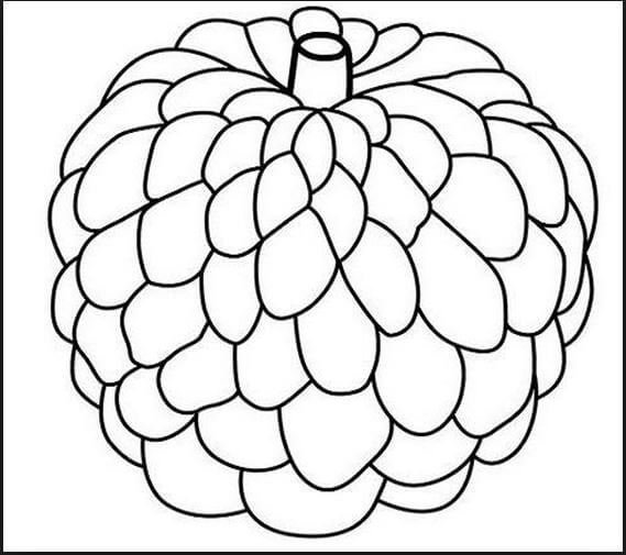 Hình vẽ đen trắng rau củ quả cho bé tô màu (7)