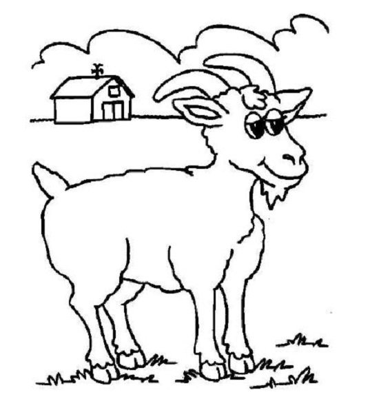 Hình vẽ tập tô con dê (3)