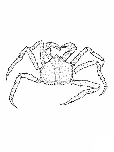 Mẫu tranh tô màu con cua ngộ nghĩnh cho bé tập tô (1)