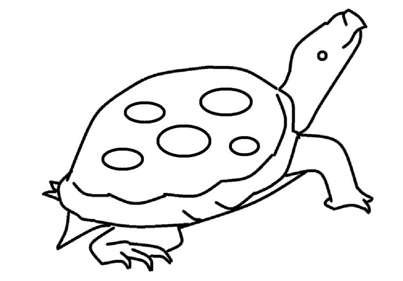 Mẫu tranh tô màu con rùa cho bé tập tô (1)