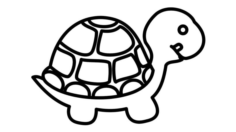 Mẫu tranh tô màu con rùa cho bé tập tô (4)
