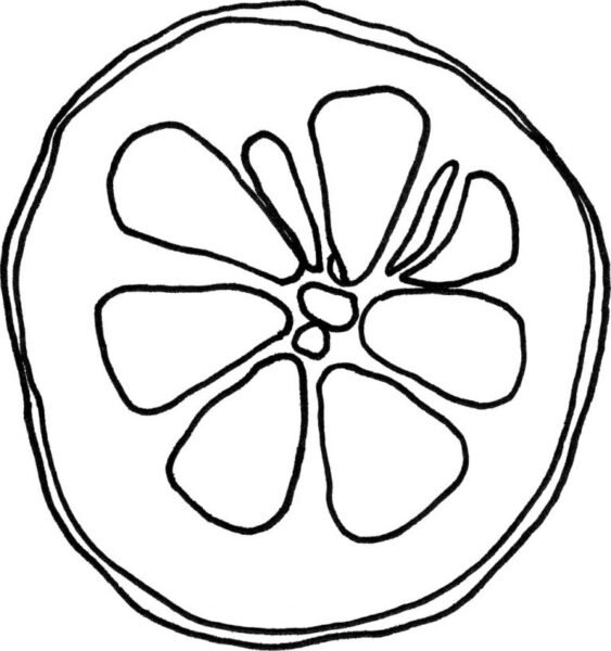 Mẫu tranh tô màu quả bưởi đơn giản cho bé tập tô (13)