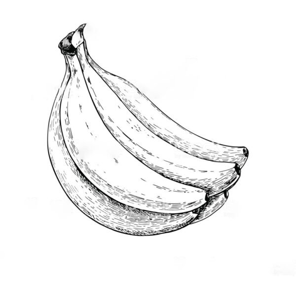 Mẫu tranh tô màu quả chuối cho bé tập tô (1)
