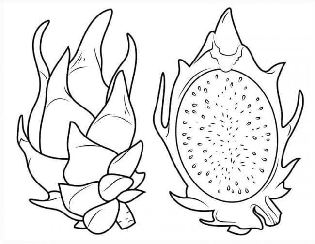 Mẫu tranh tô màu rau củ quả cho bé tập tô (7)