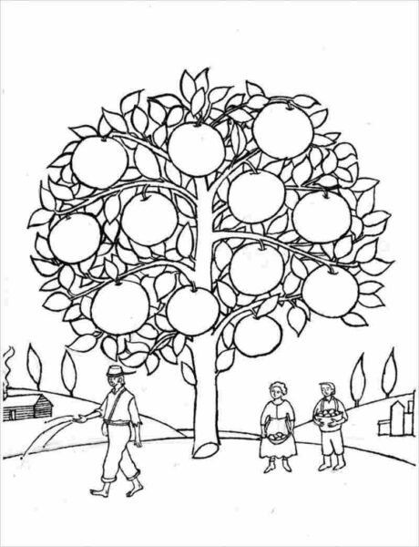 Những tranh tô màu cây xanh đẹp nhất cho bé tập tô (4)