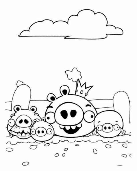 Tranh tô màu Angry Birds cho bé tập tô (34)