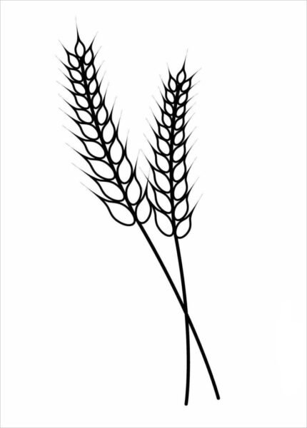 tranh-to-mau-canh-dong-lua-dep-cho-be-tap-to-23-430x600-1 Tranh tô màu cánh đồng lúa đẹp cho bé tập tô (23)