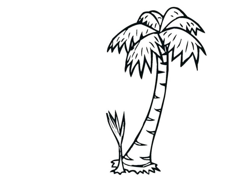 Tranh tô màu cây dừa đẹp nhất cho bé tập tô (34)