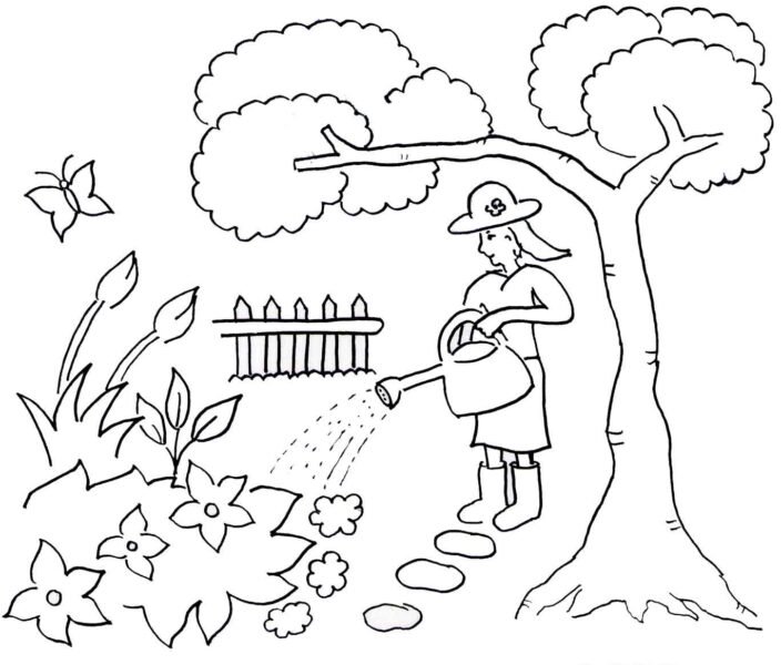 Tranh tô màu cây hoa