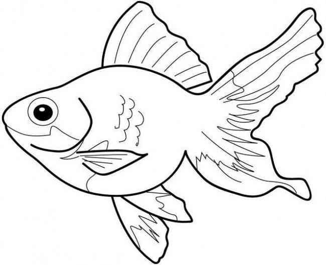 Tranh tô màu con cá vàng (2)