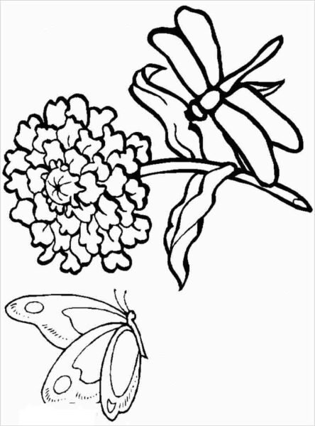 tranh-to-mau-con-chuon-chuon-cho-be-tap-to-24-444x600-1 Tranh tô màu con chuồn chuồn cho bé tập tô (24)