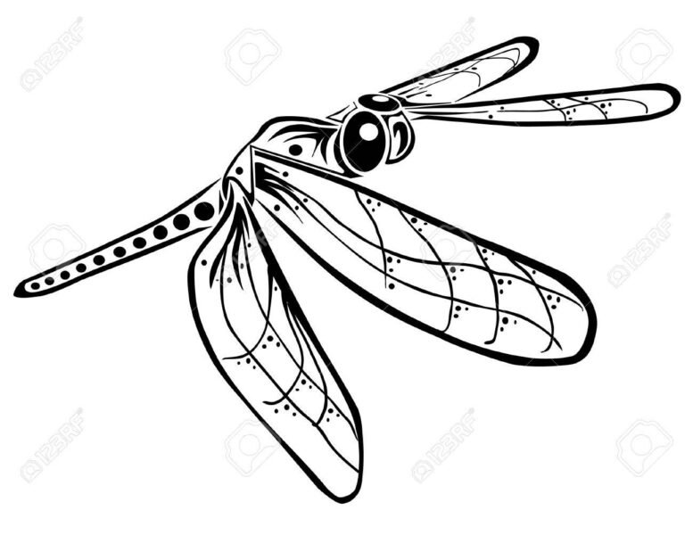 tranh-to-mau-con-chuon-chuon-cho-be-tap-to-25-777x600-1 Tranh tô màu con chuồn chuồn cho bé tập tô (25)