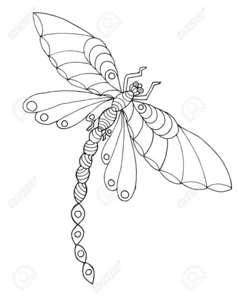 tranh-to-mau-con-chuon-chuon-cho-be-tap-to-26-480x600-1 Zentangle stylized dragonfly.