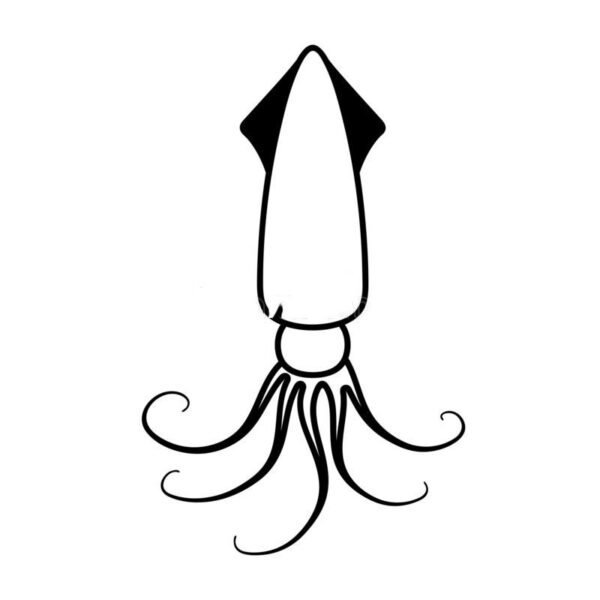 Tranh tô màu con mực cho bé tập tô (18)