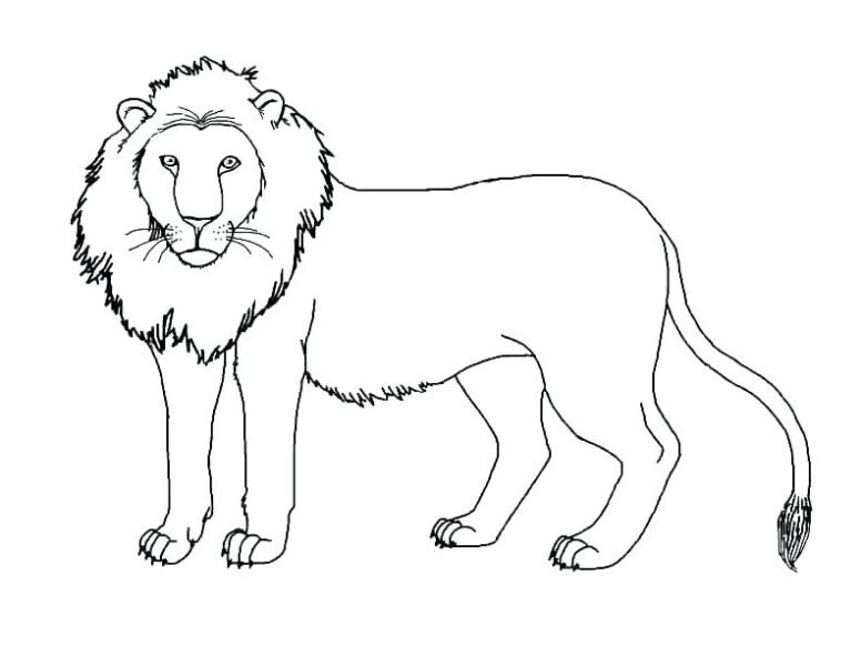 tranh-to-mau-con-su-tu-dep-nhat-cho-be-tap-to-25-776x600-1 Tranh tô màu con sư tử đẹp nhất cho bé tập tô (25)
