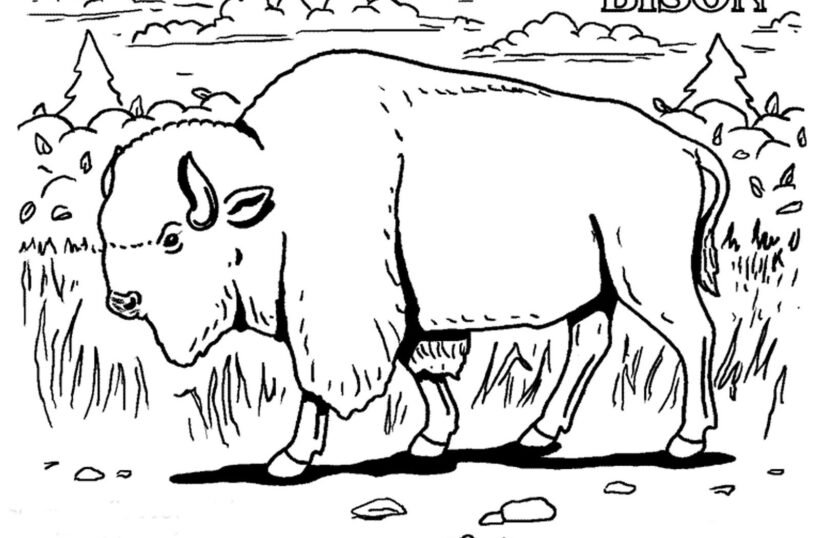 Tranh tô màu con trâu đẹp nhất cho bé tập tô (25)