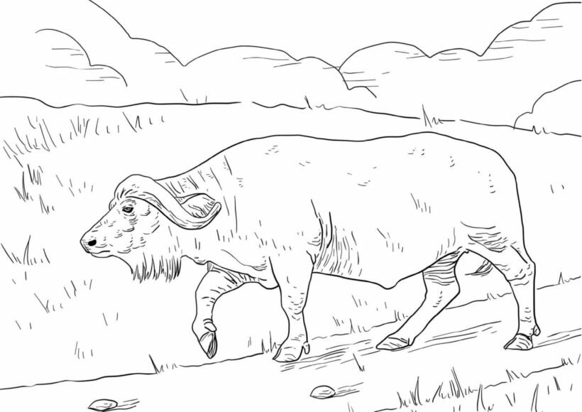 Tranh tô màu con trâu đẹp nhất cho bé tập tô (32)