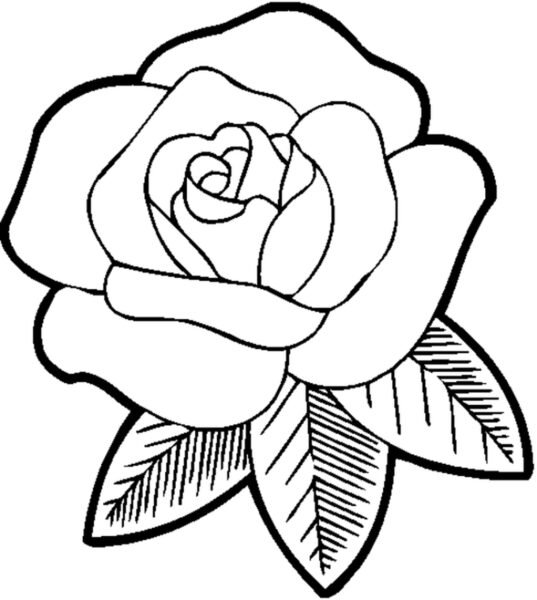 printable flower coloring pages for girls Beautiful Rose Flower Coloring Pages For Girls For Flower Coloring Page on