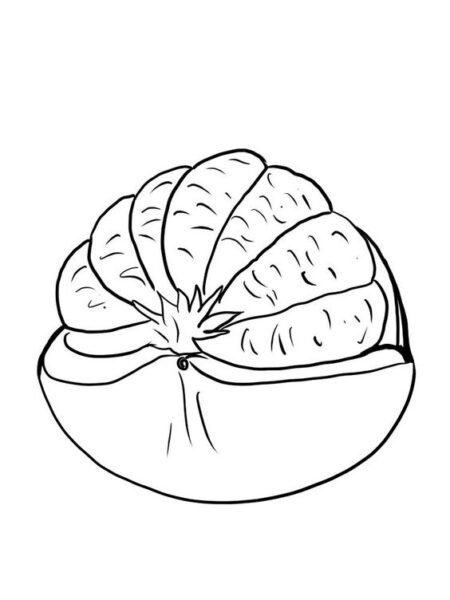 Tranh tô màu quả bưởi đơn giản cho bé tập tô (15)