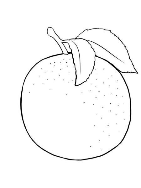 Tranh tô màu quả bưởi đơn giản cho bé tập tô (28)