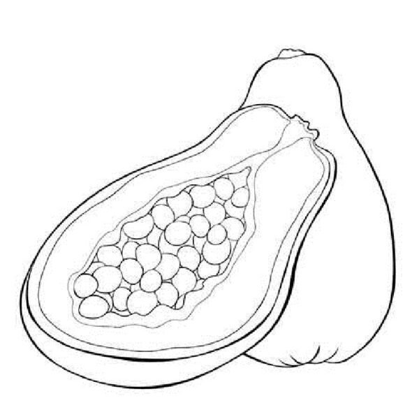 Tranh tô màu quả đu đủ đẹp cho bé tập tô (16)