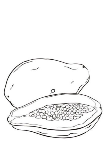 Tranh tô màu quả đu đủ đẹp cho bé tập tô (18)