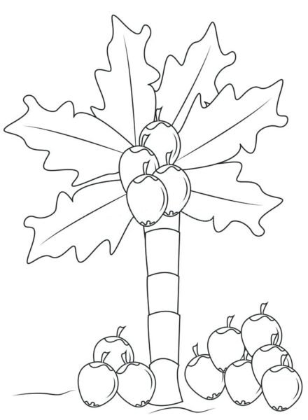 Tranh vẽ cây dừa cho bé tập tô (5)