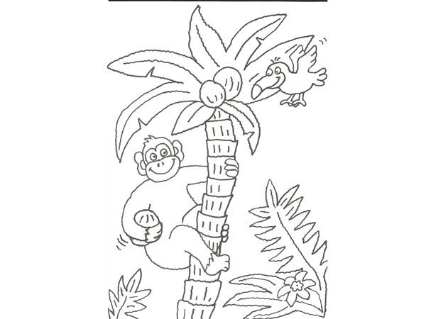 Tranh vẽ cây dừa cho bé tập tô (6)