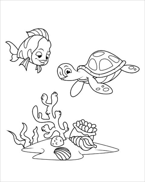 Tranh vẽ chưa tô màu con rùa đẹp cho bé tập tô (6)