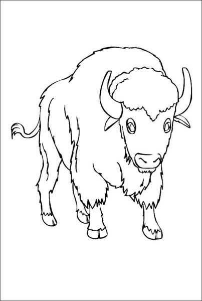 Tranh vẽ chưa tô màu con trâu cho bé tập tô (3)