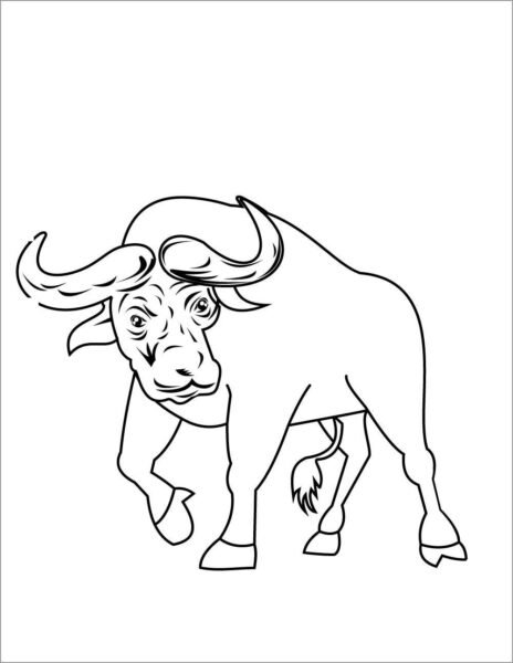 Tranh vẽ chưa tô màu con trâu cho bé tập tô (6)