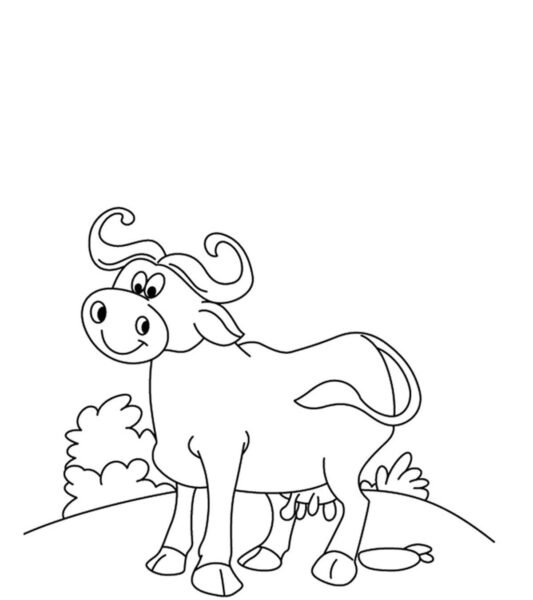 Tranh vẽ chưa tô màu con trâu cho bé tập tô (7)