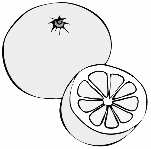 Tranh vẽ chưa tô màu quả bưởi đơn giản cho bé tập tô (15)