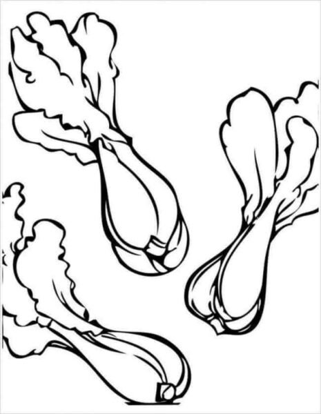 Tranh vẽ chưa tô màu rau củ quả cho bé tập tô (4)