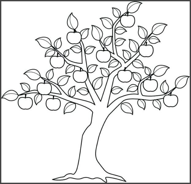 Tranh vẽ đen trắng cây xanh cho bé tô màu (3)