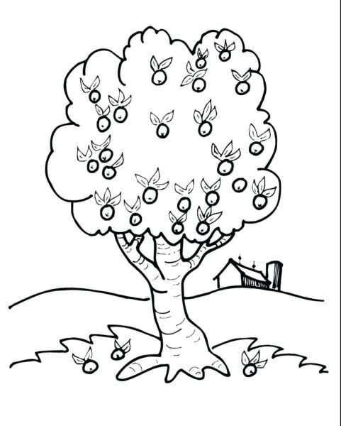 Tranh vẽ đen trắng cây xanh cho bé tô màu (5)