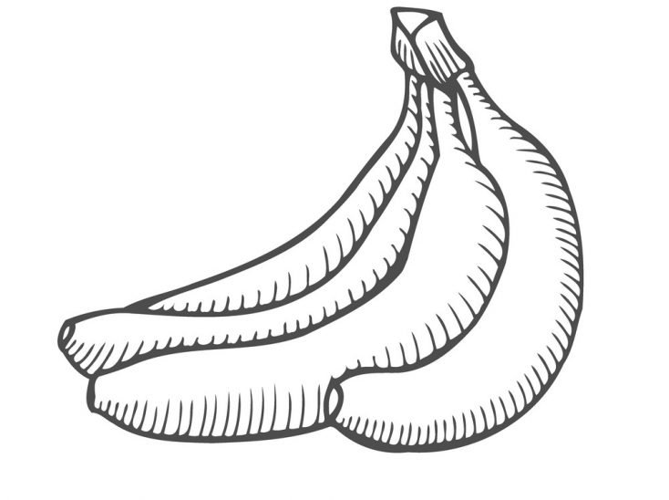 Tranh vẽ đen trắng quả chuối đẹp nhất cho bé tập tô (3)